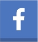 Global Media Network icon button for Facebook