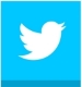 Global Media Network icon button for Twitter