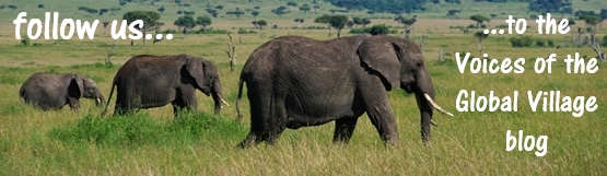 Photo promotion for the Voices of the Global Village blog, image of 3 elephants in a family group walking left to right