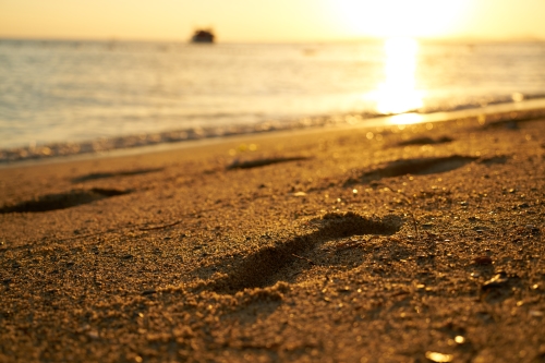 low angle image of footprints in the sand on a bright beach at sunrise